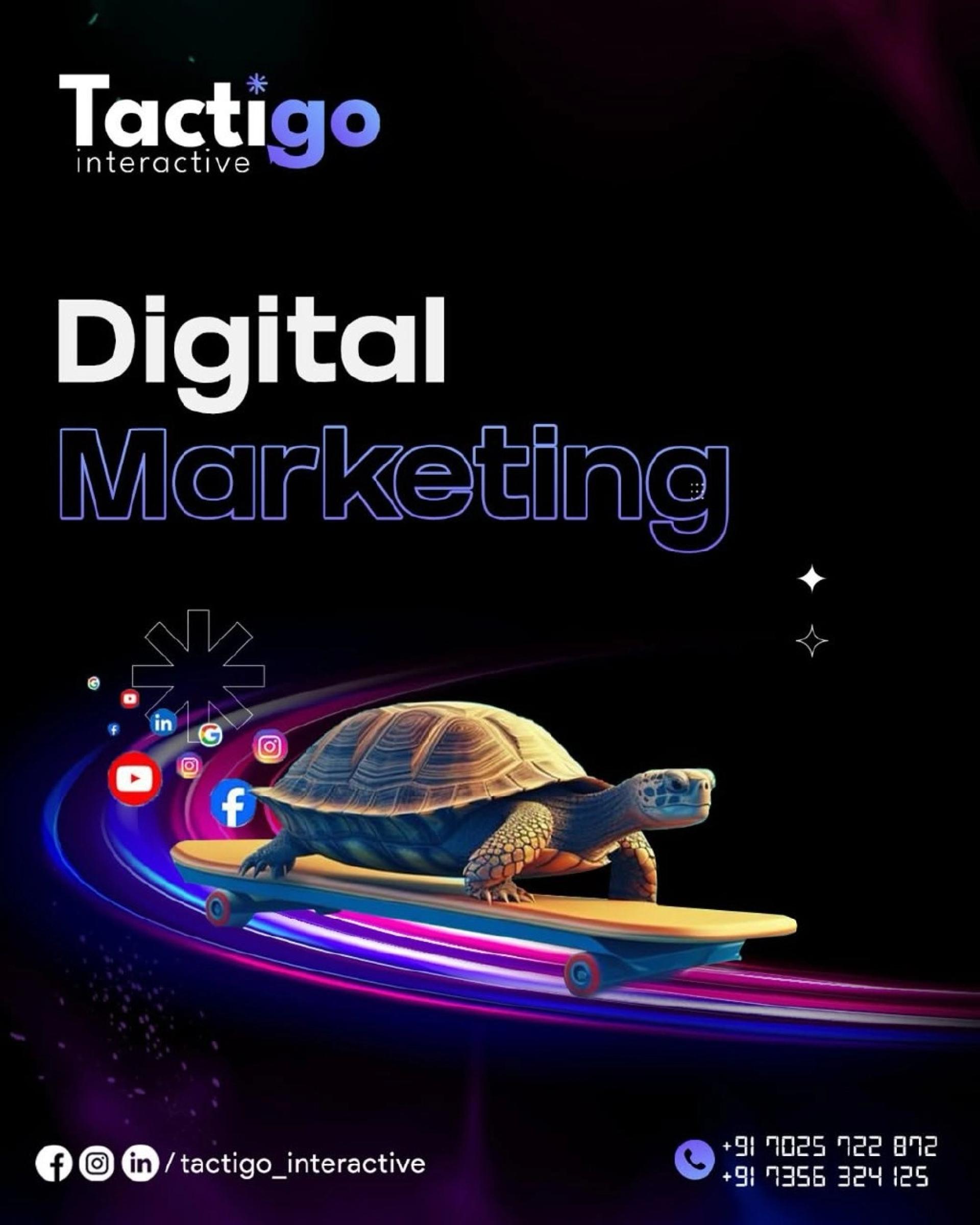 how to choose the best digital marketing agency in Calicut