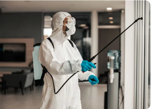 The Hidden Science Behind Pest Invasions in Springfield, MO Homes | 417 Pest Solutions