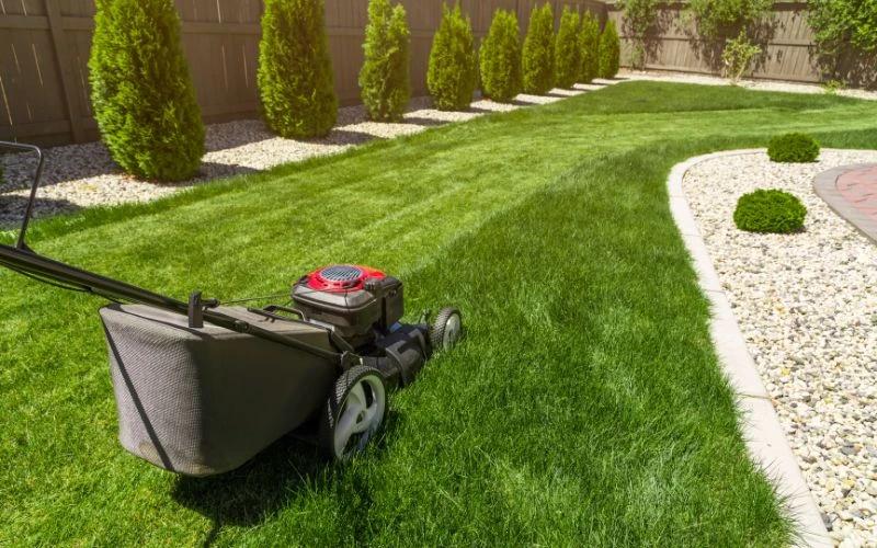 10 Expert Ways to Fix a Waterlogged Lawn and Prevent Damage