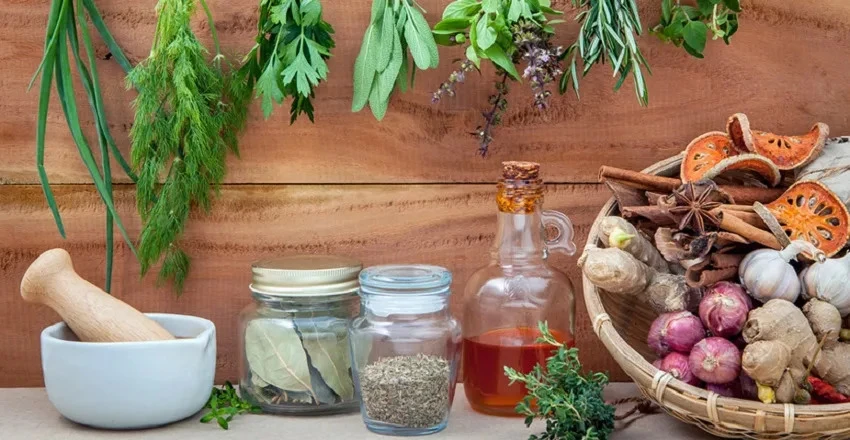 Pure Herbal Solutions for Holistic Health and Well-Being