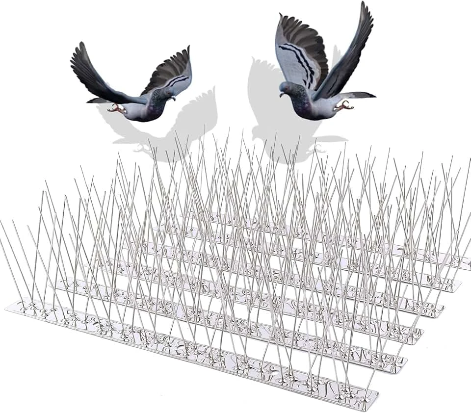 Bird Spikes in Dubai: Humane Bird Control Solutions