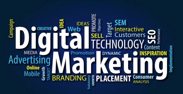 Professional Digital Marketing Courses in Bangalore