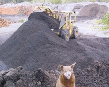 Enhance Your Garden's Health And Appearance By Selecting The Right Mulch