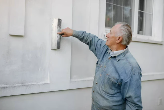 Understanding Professional Plastering Techniques