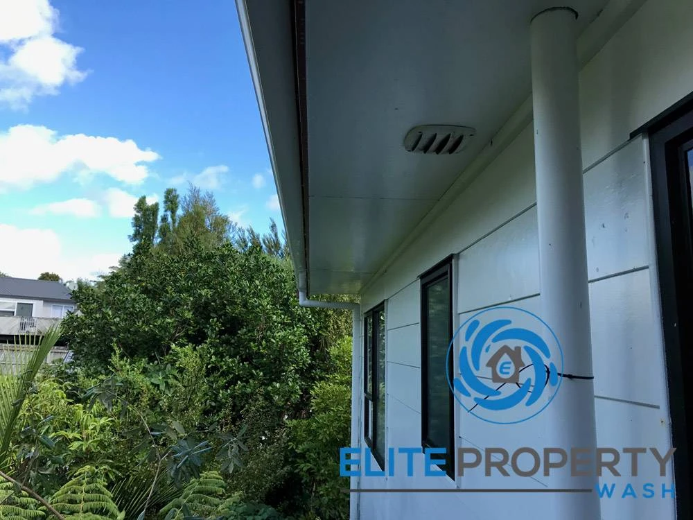 Why Professional Mould Removal Is Essential