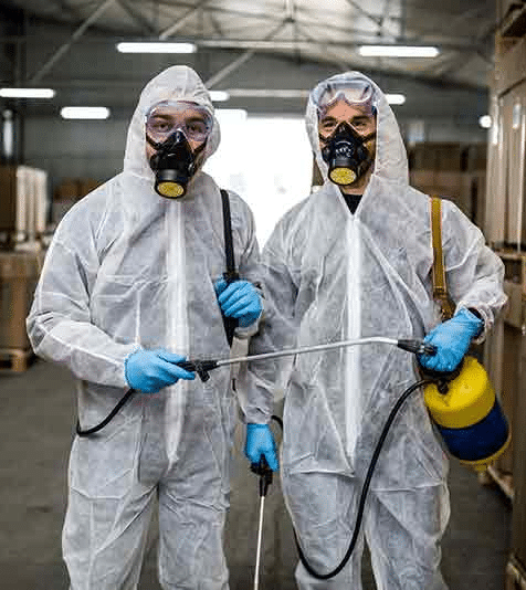 Top Strategies for Pest Control in Vaughan: Protect Your Home and Business