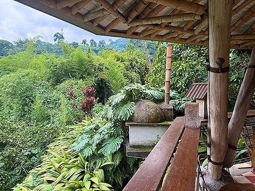 The Geography of Flavor: Inside the Colombian Kilos Coffee Triangle