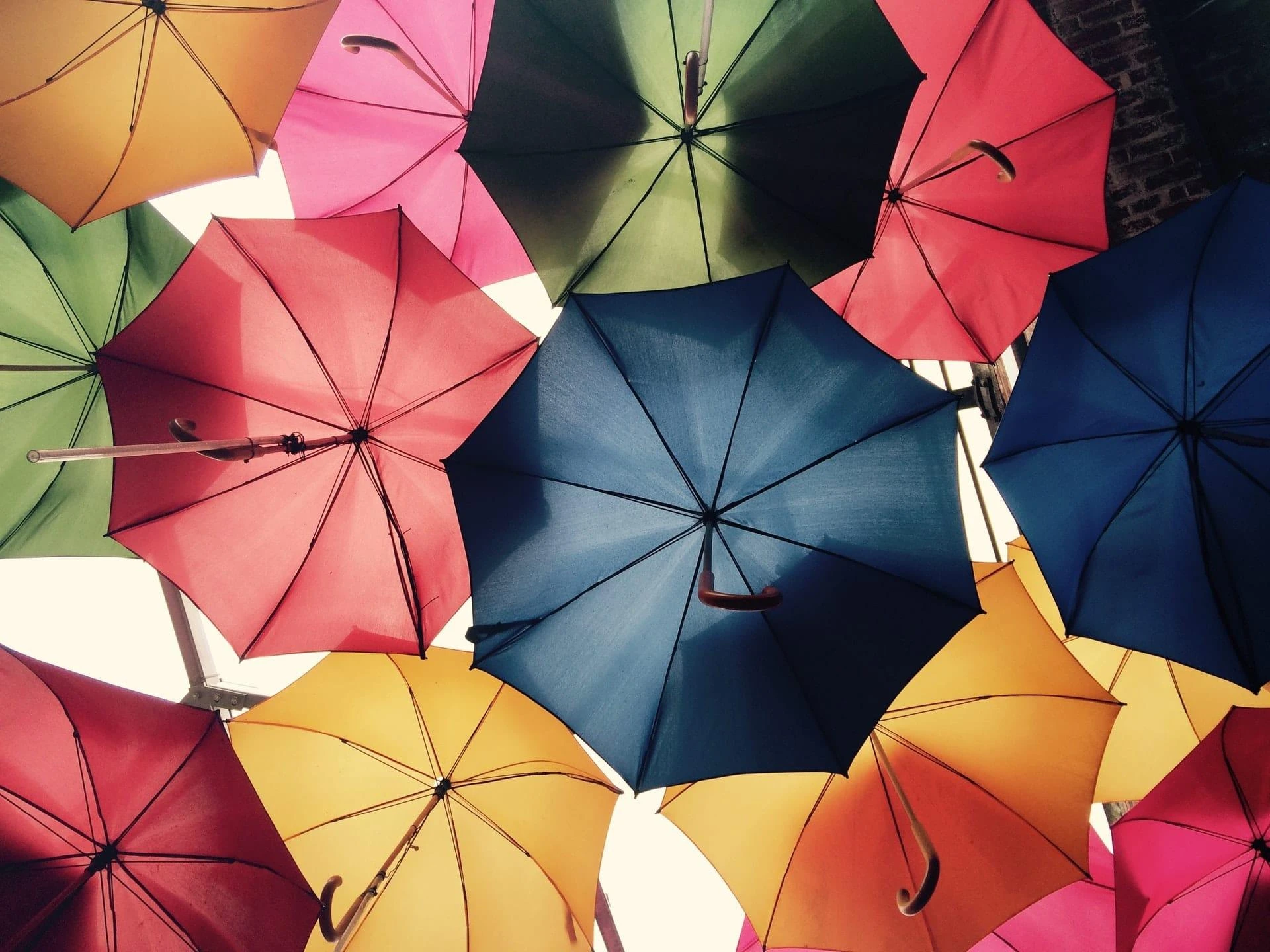 Humanizesh in 2025 as a Future-Proof Content Strategy