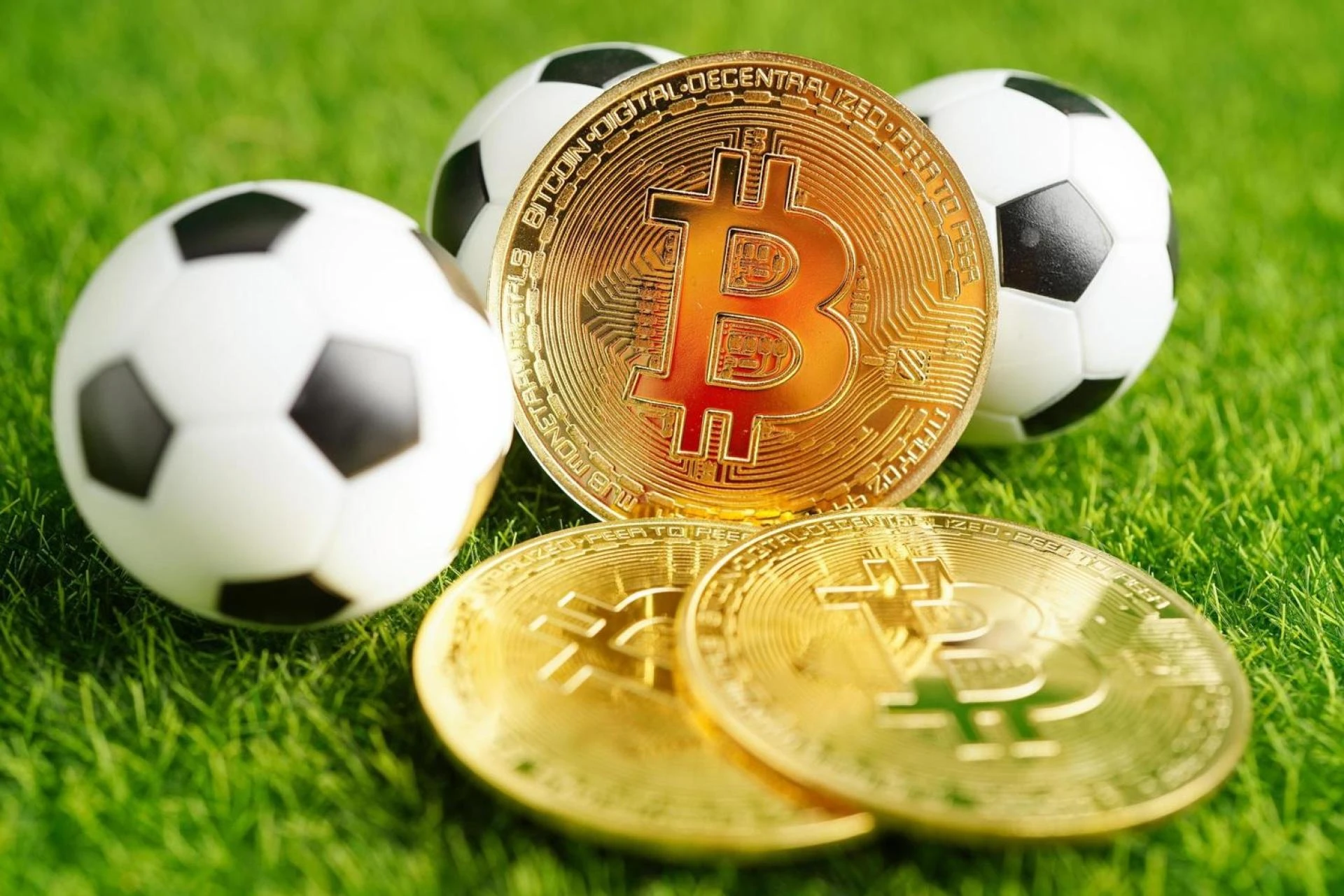 Paris sportif crypto : l’avenir du jeu en ligne sécurisé