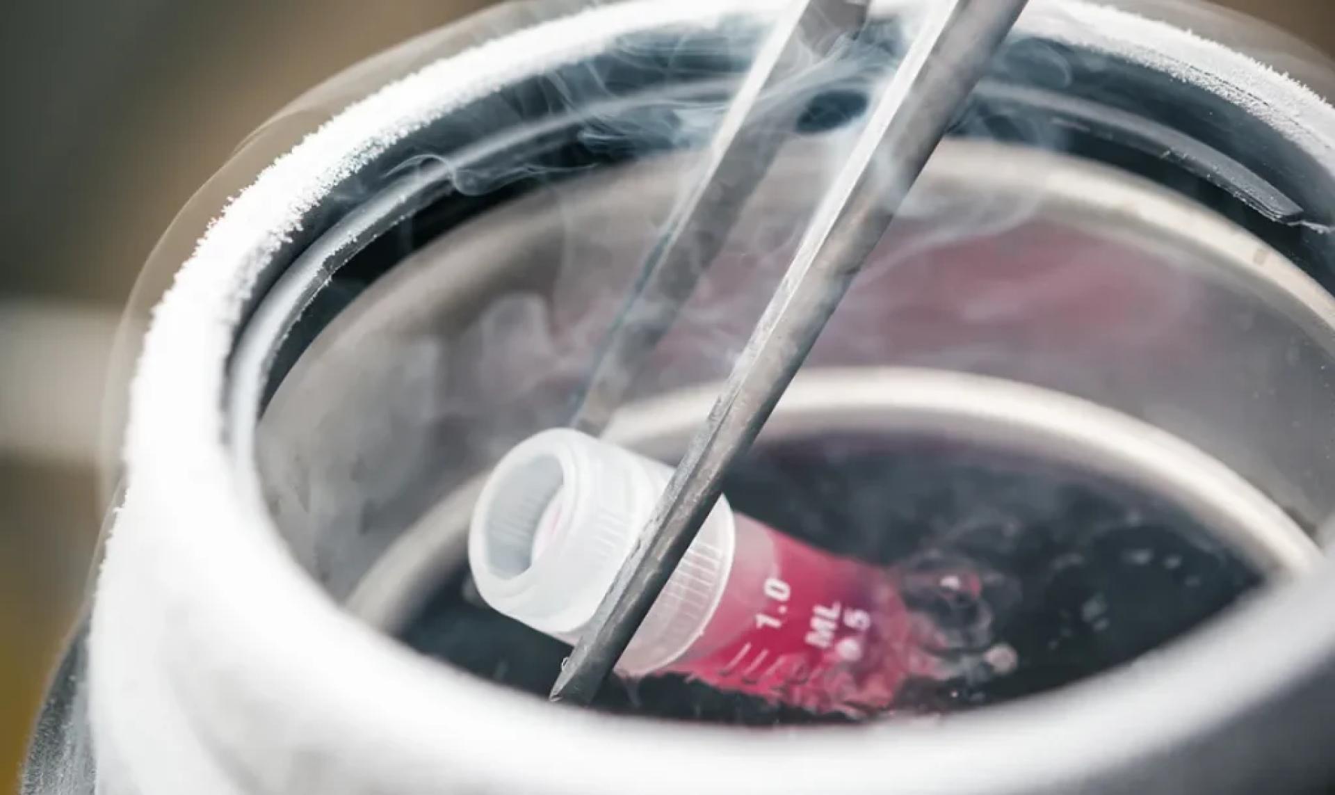 Fertility Preservation In Hyderabad.