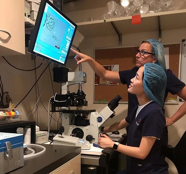 What Should You Prioritize When Choosing Clinical Embryology Programs?