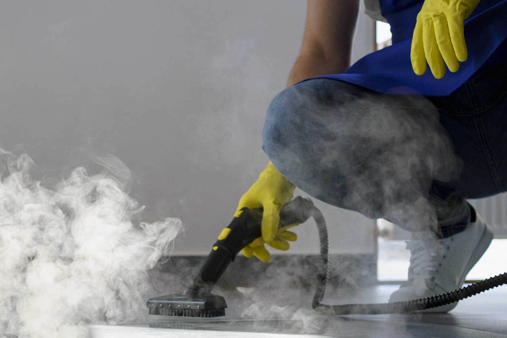 Signs You Need a Professional Mold Removal Company in Los Angeles