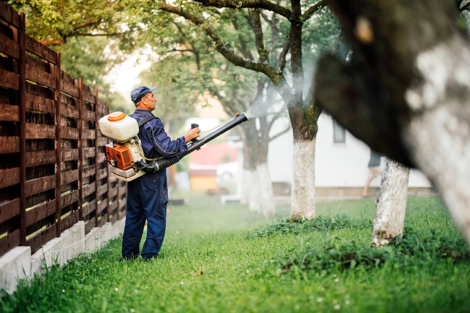 Why Pest Control in Spring TX is Essential for a Pest-Free Home?