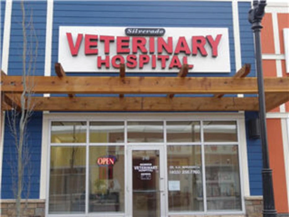 Key Services Every Veterinary Hospital Should Offer