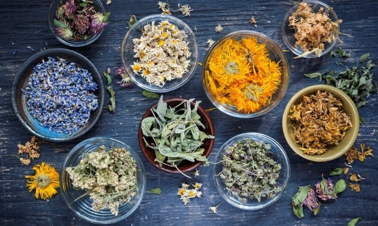 Safe Herbal Remedies to Support Complete Mind and Body Wellness