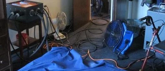 Whole-Home Heat Treatment for Bed Bugs Near Tennessee: What to Expect From Start to Finish?