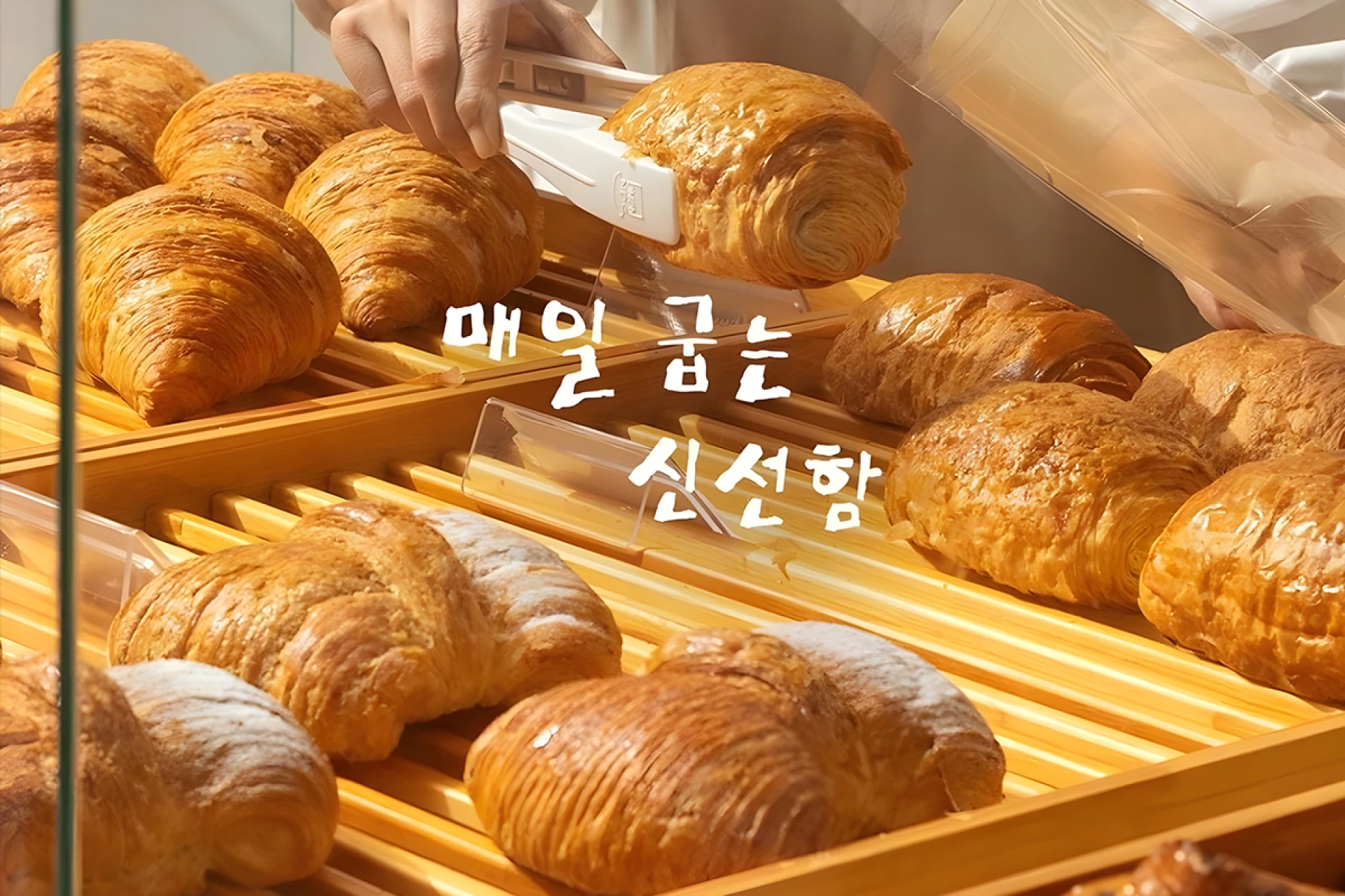 Macam Kue Pastry dan Daya Tariknya dalam Dunia Kuliner Modern