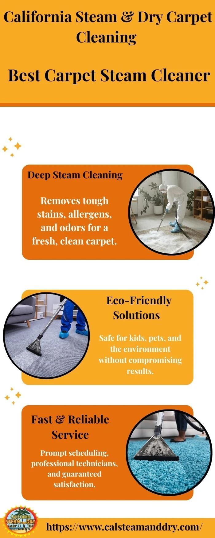 Best Carpet Steam Cleaner​