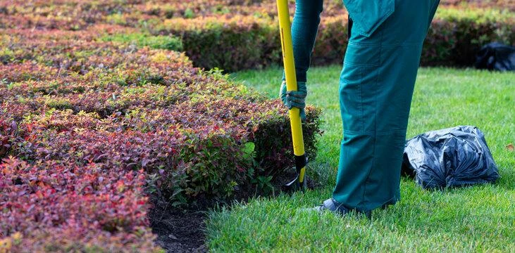 What Local SEO Tactics Help Lawn Services Get Found