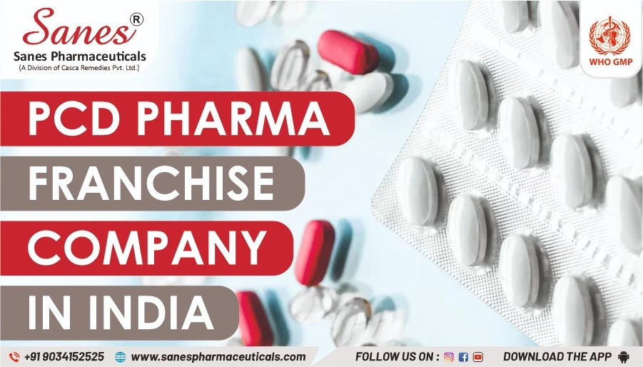 How to Set Up a PCD Pharma Franchise Company on a Minimal Budget