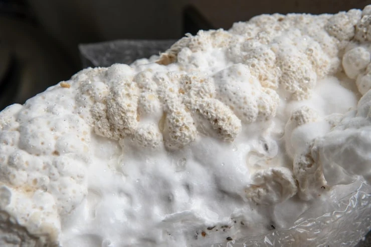 Energy-Efficient Comfort with Vancouver Spray Foam Solutions