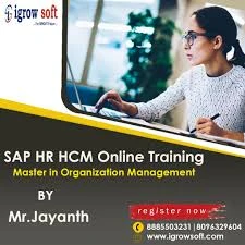 What is the difference between Master Data and Transaction Data in SAP HCM?