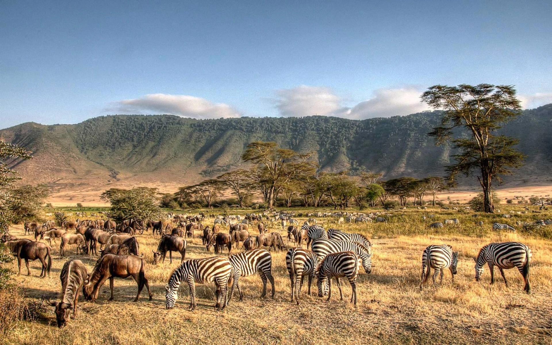 A True Safari Experience in Tanzania