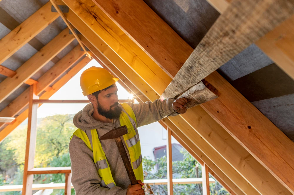 Common Roofing Problems Homeowners Should Never Ignore