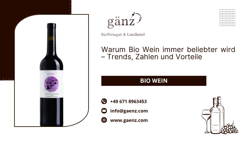 🍷 Warum Bio Wein immer beliebter wird – Trends, Zahlen und Vorteile