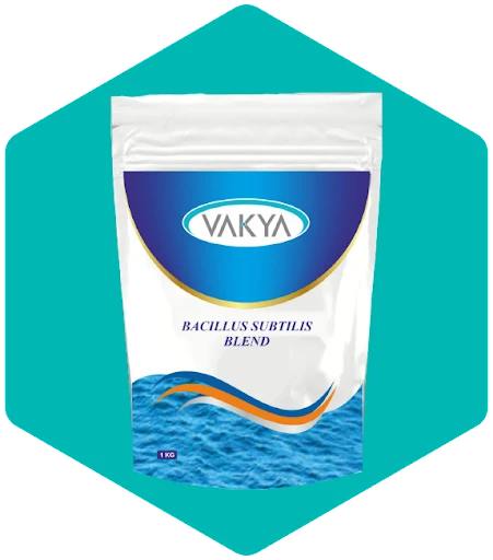 Probiotic Manufacturers in India: Driving Gut Health Innovation with Vakya Prob