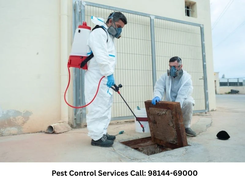 Trusted Pest Control Services in Mohali for Homes and Offices