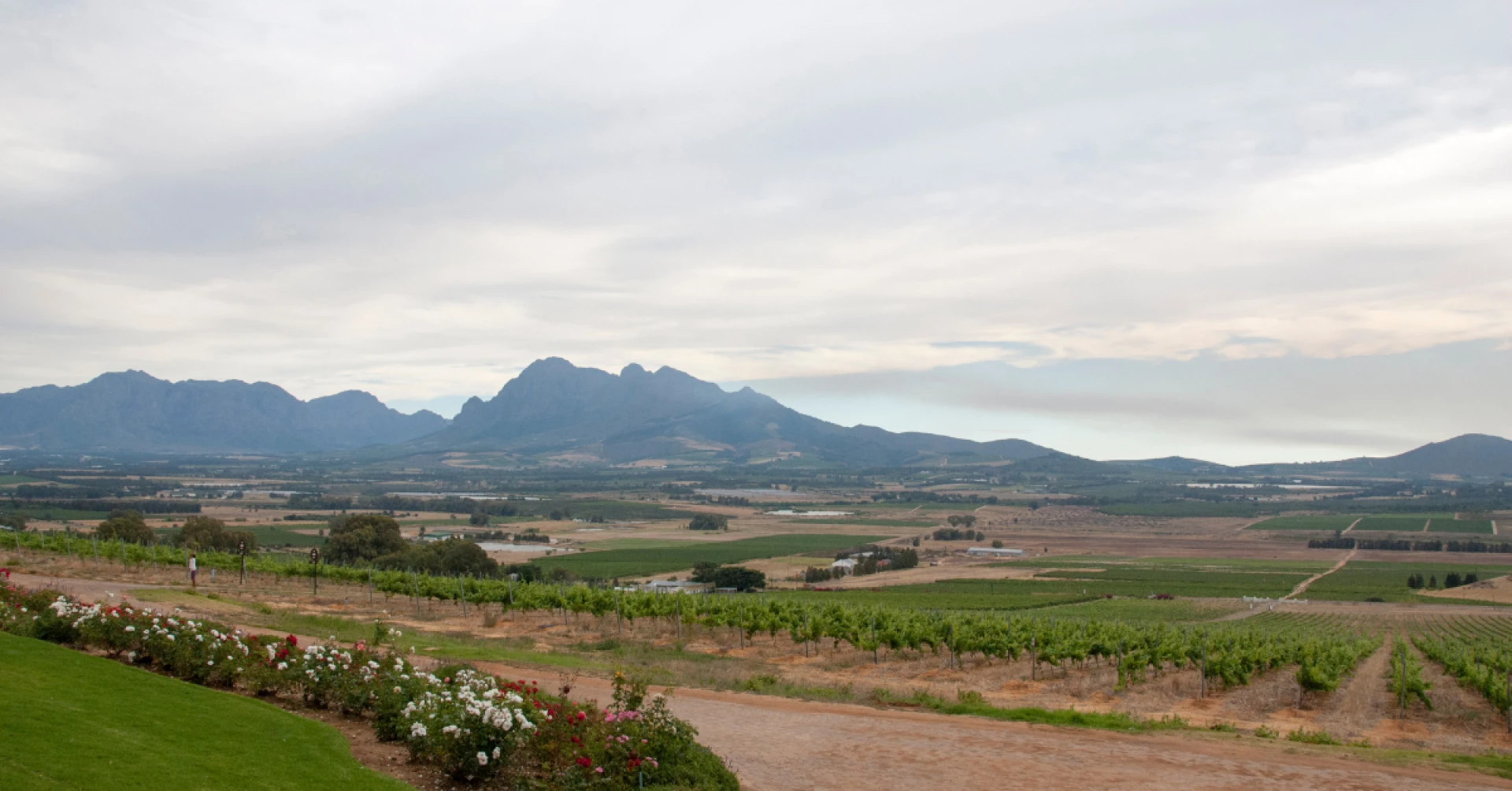 Buying Property in Paarl: What You Need to Know