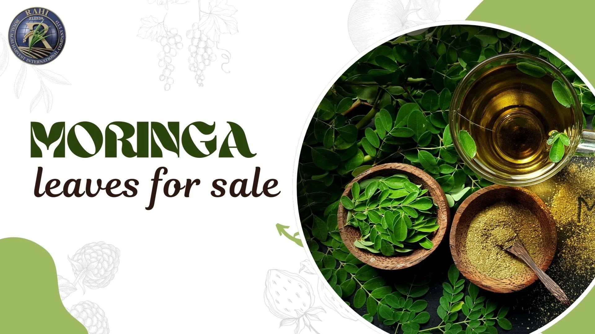 Moringa Leaves for Sale: How to Choose Fresh, Nutrient-Rich Leaves