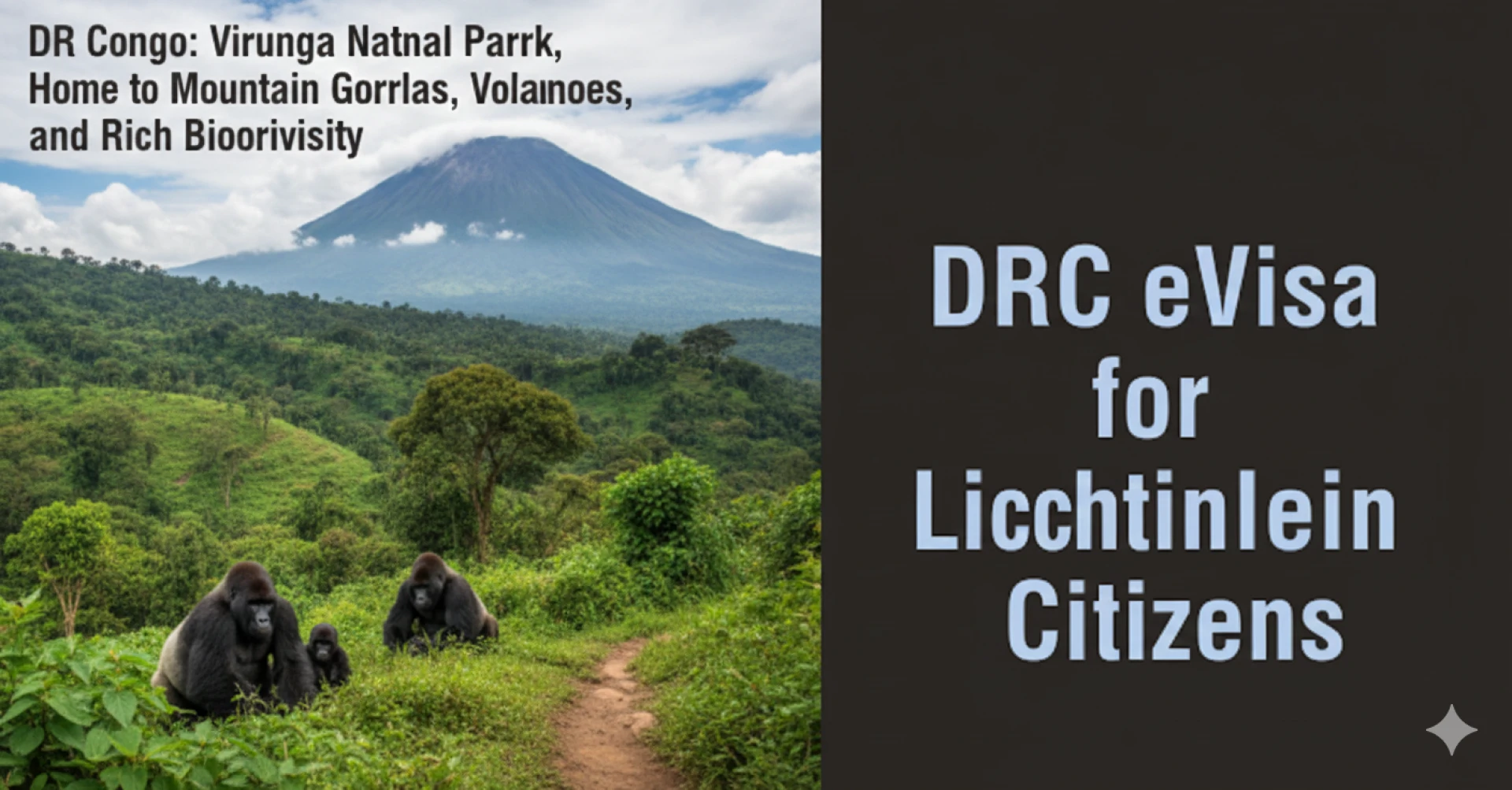 DRC eVisa for Liechtenstein Citizens