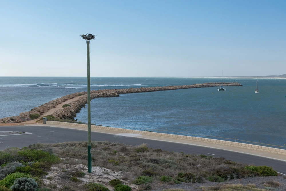 What Are the Best Accommodation Options in Dongara for Holiday Stays?