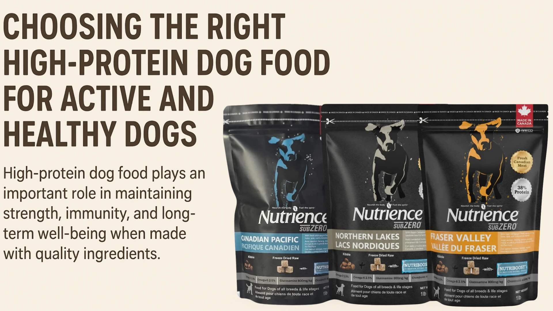 Choosing the Right High-Protein Dog Food for Active and Healthy Dogs