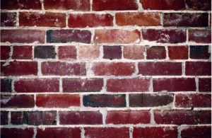 Top 5 Signs Your Basement Requires Waterproofing