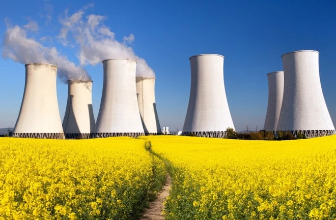 The nuclear industry claims that regulators are unfamiliar with new small reactors.