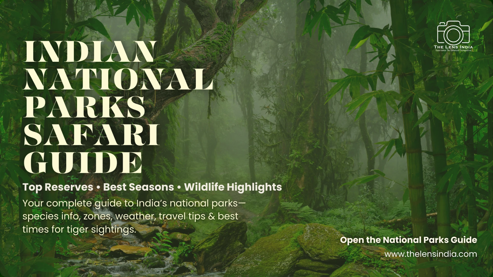 Indian National Parks Safari Guide: Top Reserves, Best Seasons, Zones & Wildlife Highlights