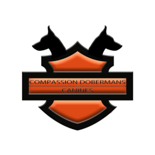 Doberman Pinscher Puppies Indiana: A Guide to Ethical Breeding and Confident Companions 🐕🏡