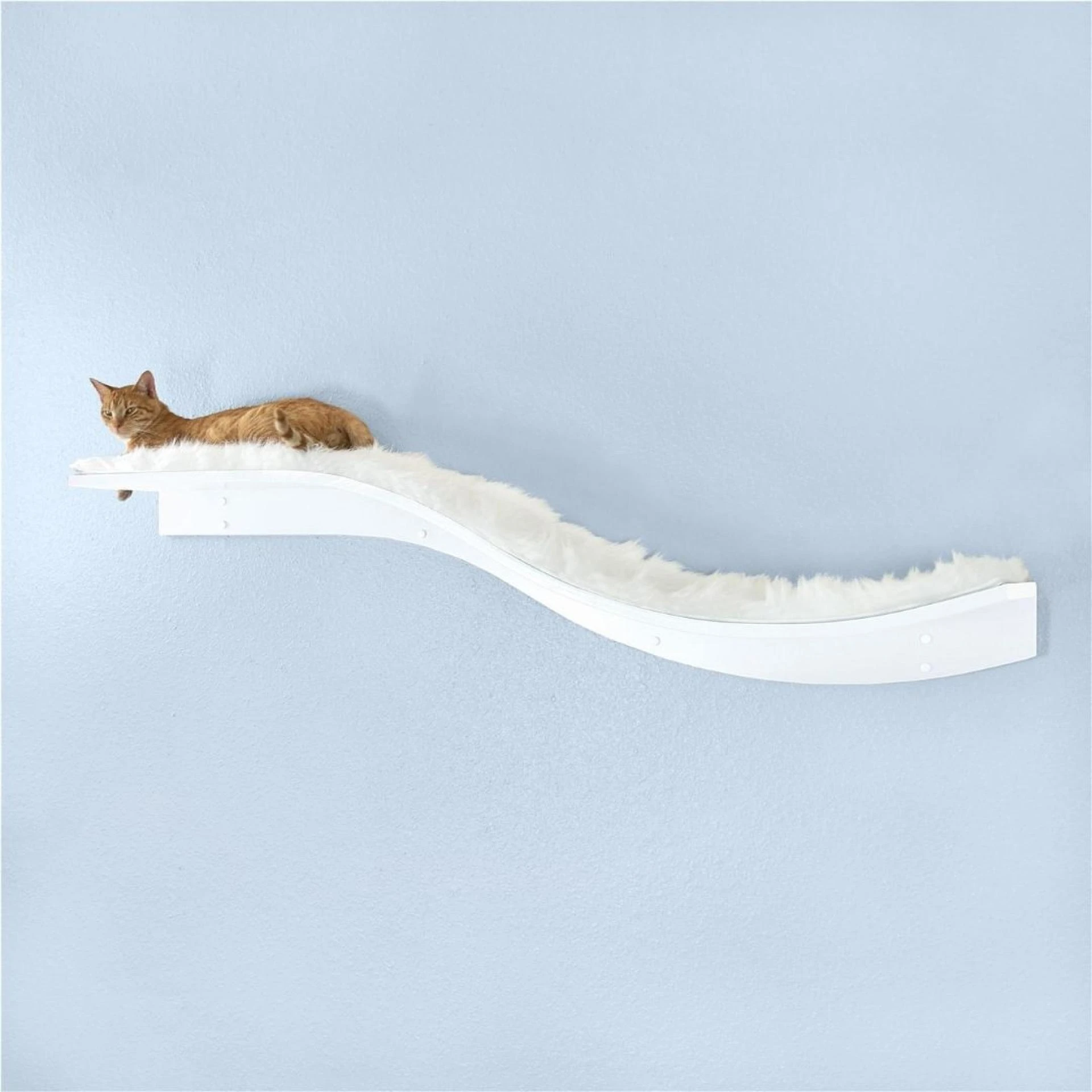 Best Cat Wall Shelves: Design, Functionality & Benefits