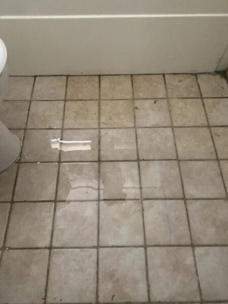 Water damage restoration: Essential guide to protect your property