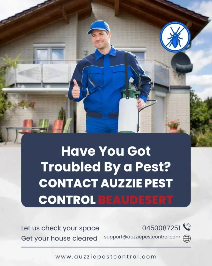 Why Should You Hire Professional Pest Control Services in Beaudesert?