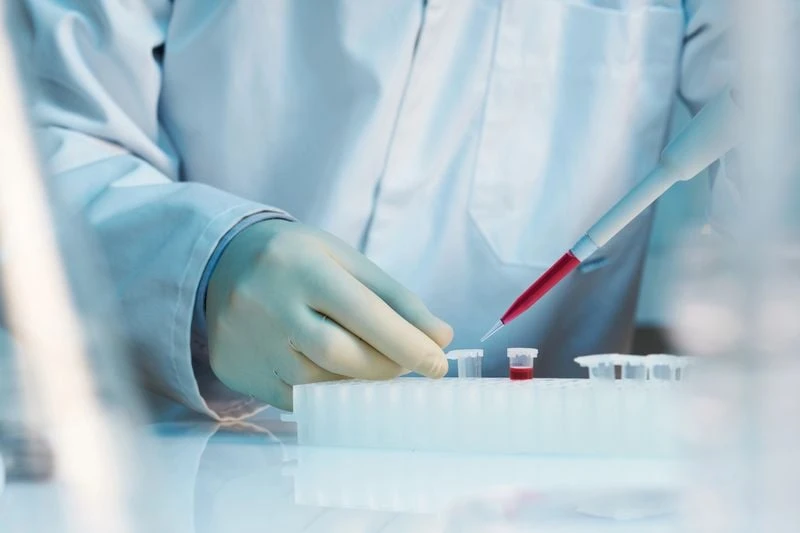 Natural Killer Cells The Body’s Powerful Immune Defenders