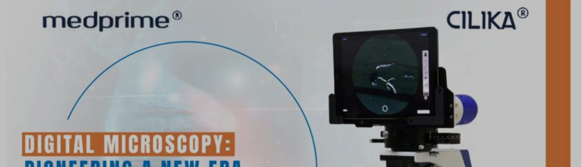 Beyond Storage: A Practical Guide to Preserving Laboratory Specimens with Integrity