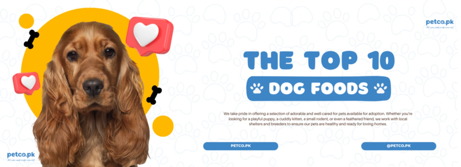 Top 10 Dog Foods for a Healthy Pup