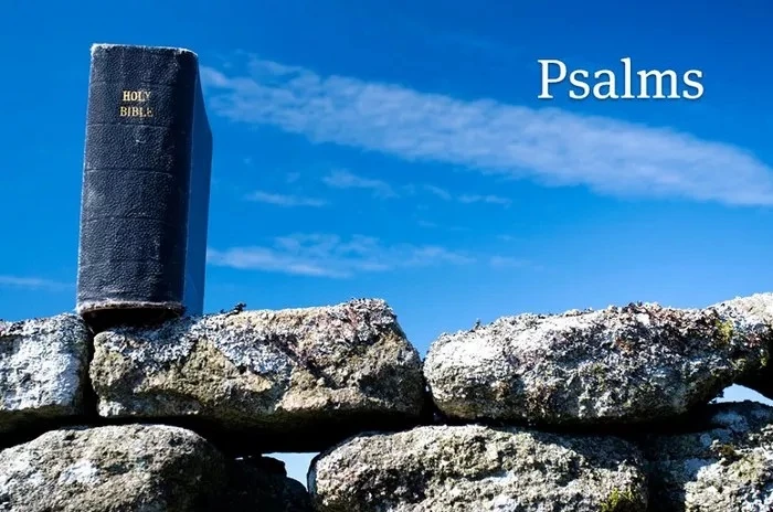 How Does the Book of Psalms Use Poetry and Symbolism?