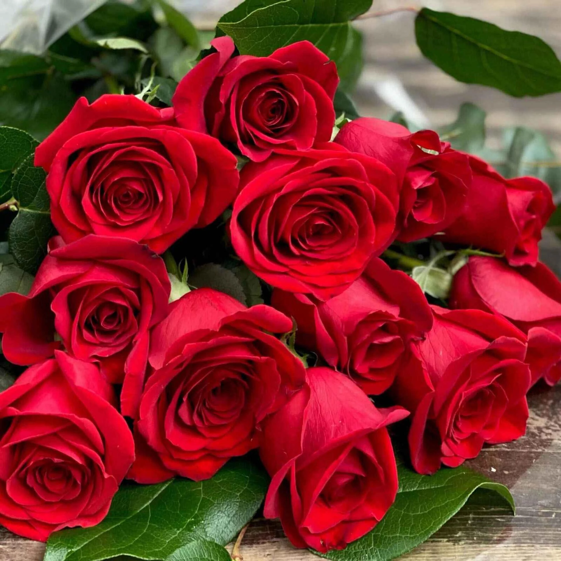 Roses Delivery Dubai: How to Order Fresh Roses Online Dubai With The Flowers Love