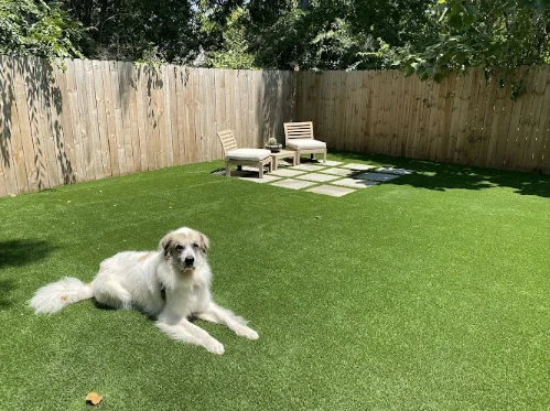 Transform Your Outdoor Space With Professional Turf And Lawn Services