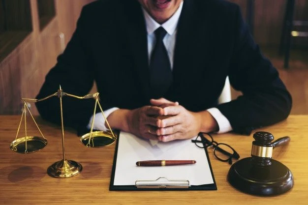 Best Lawyer In Delhi For Litigation And Legal Advisory